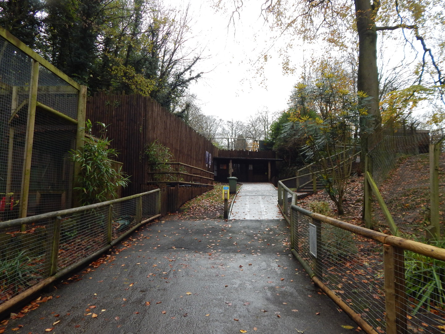 View towards Sumatran tiger enclosure 241122