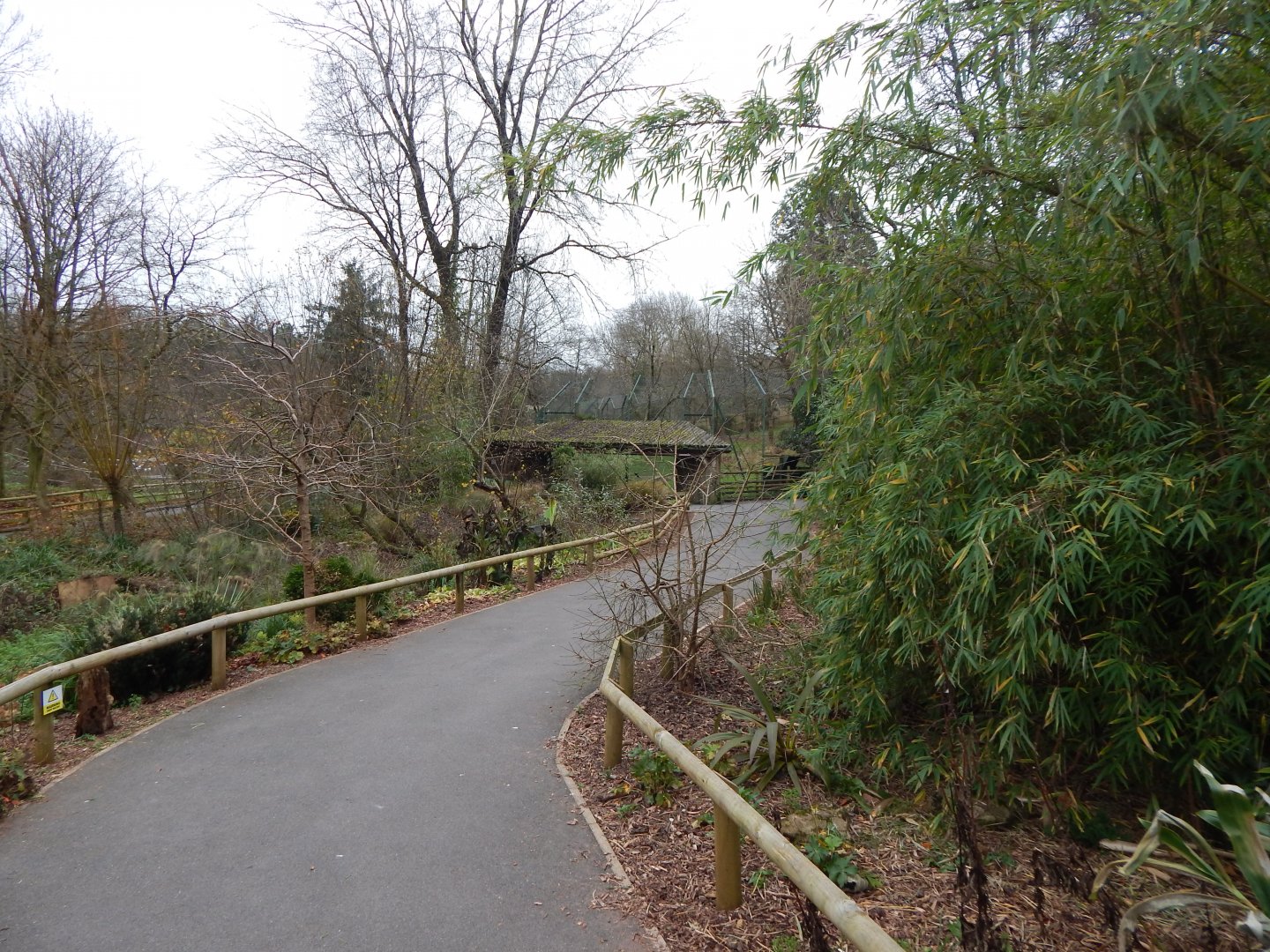 View towards Sumatran tiger exhibit 111224