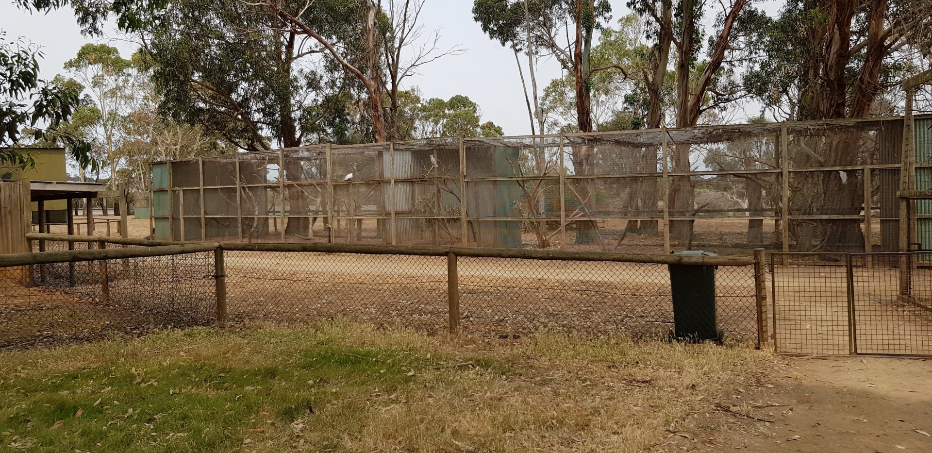 View towards teh cockatoo avairies