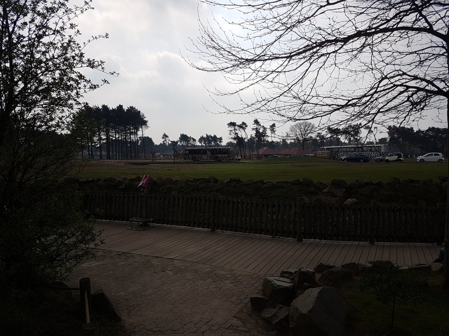 View towards the African Safari-part