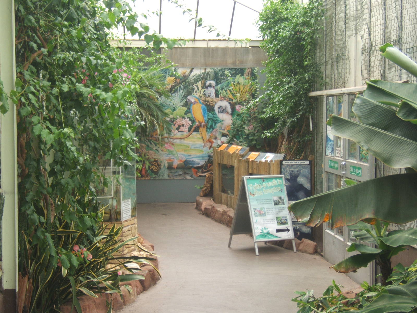 View towards the blocked off zoo room