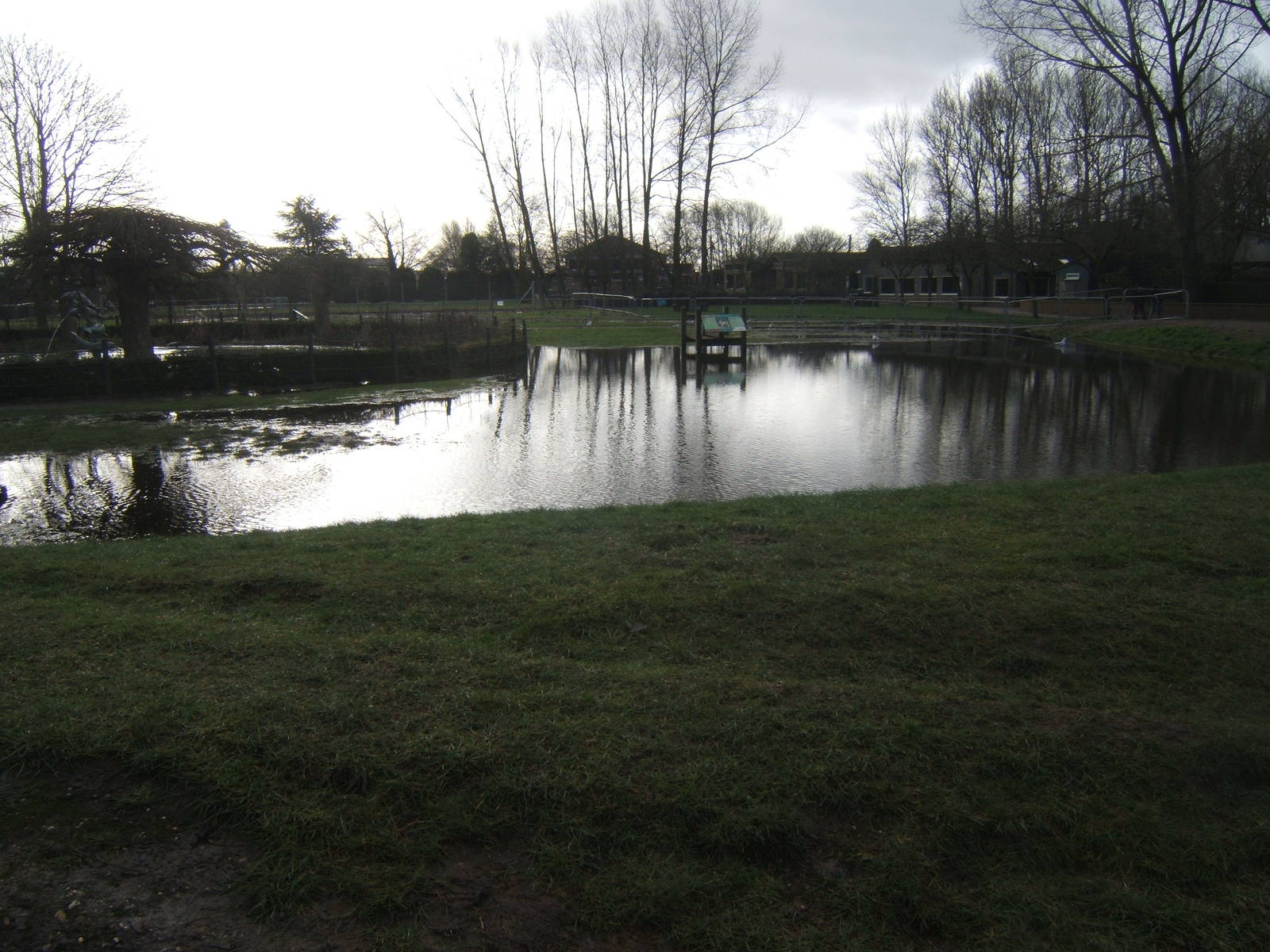 View towards the Bonobo House