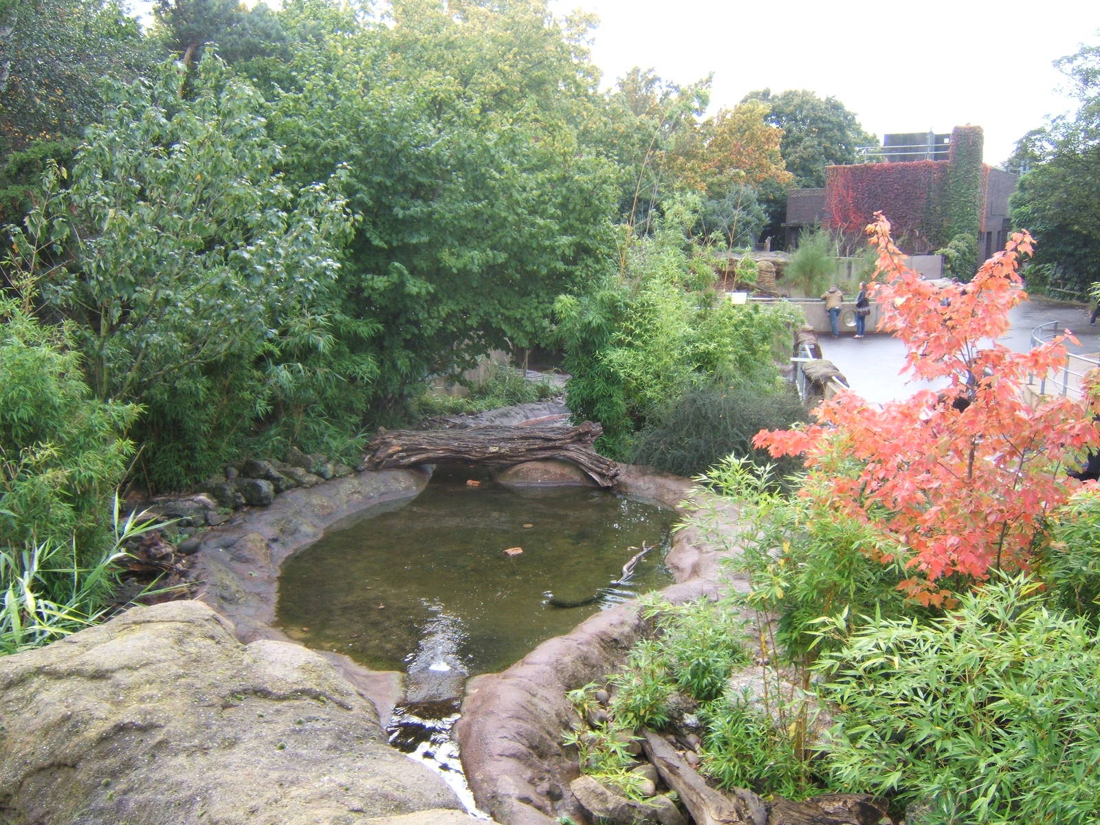 View towards the Clore from the Otters