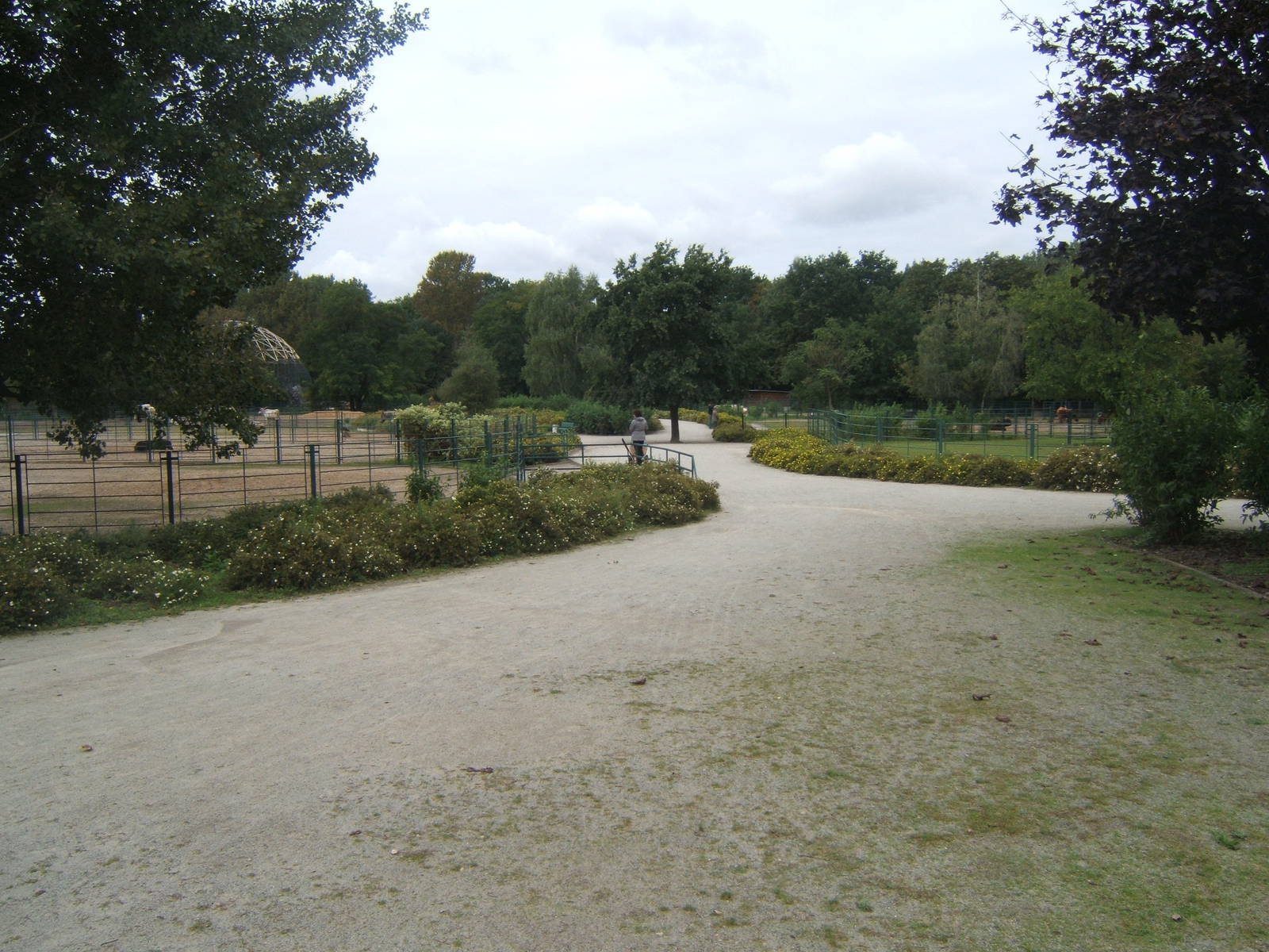 View towards the domestic hoofstock paddocks