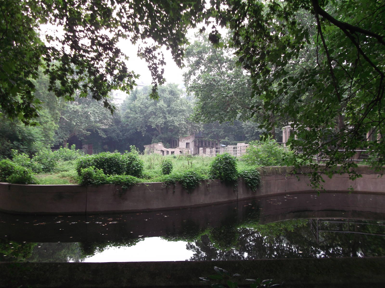 View towards the Elephant enclosure ...