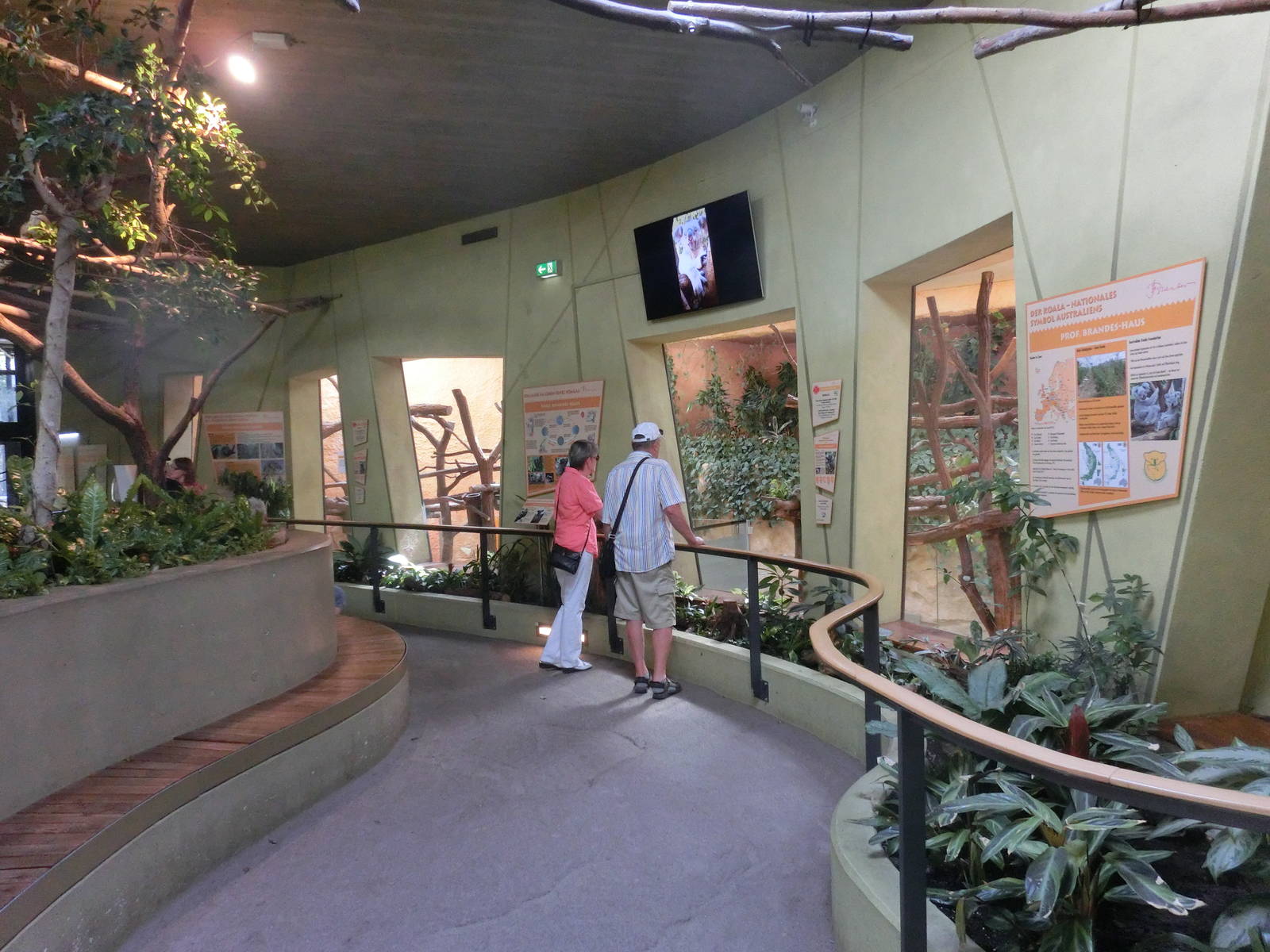 View towards the koala enclosure - Zoo Dresden