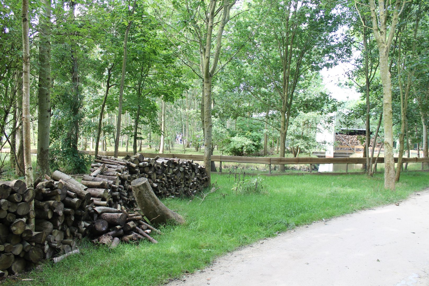 View towards the Monkey-walk through Islands