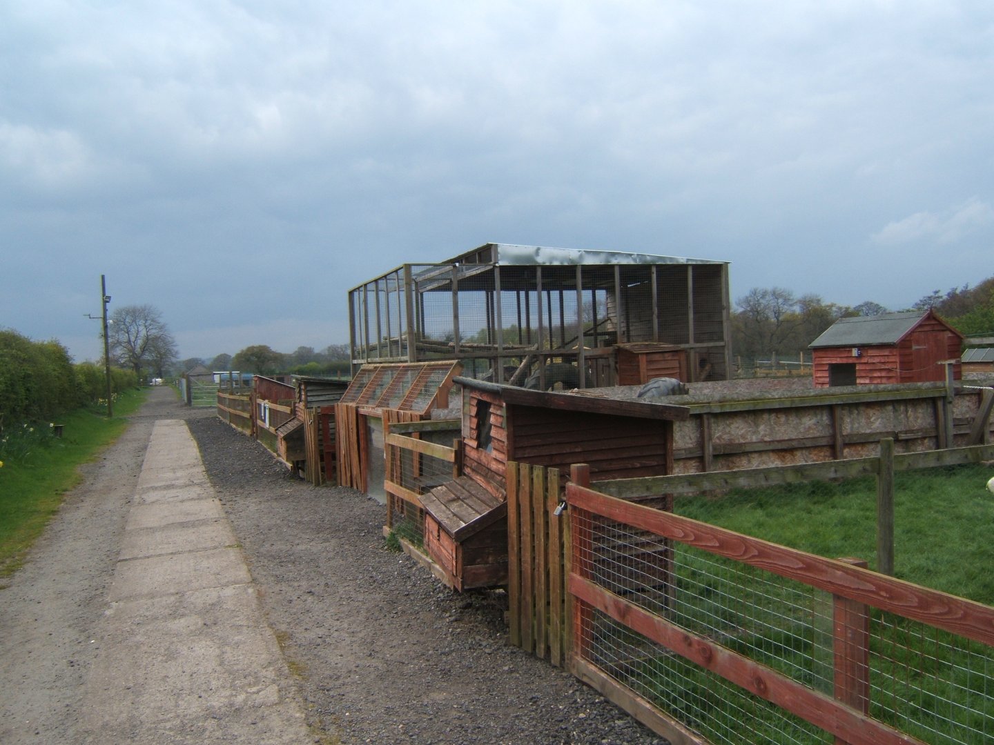 View towards the Raccoon enclosure