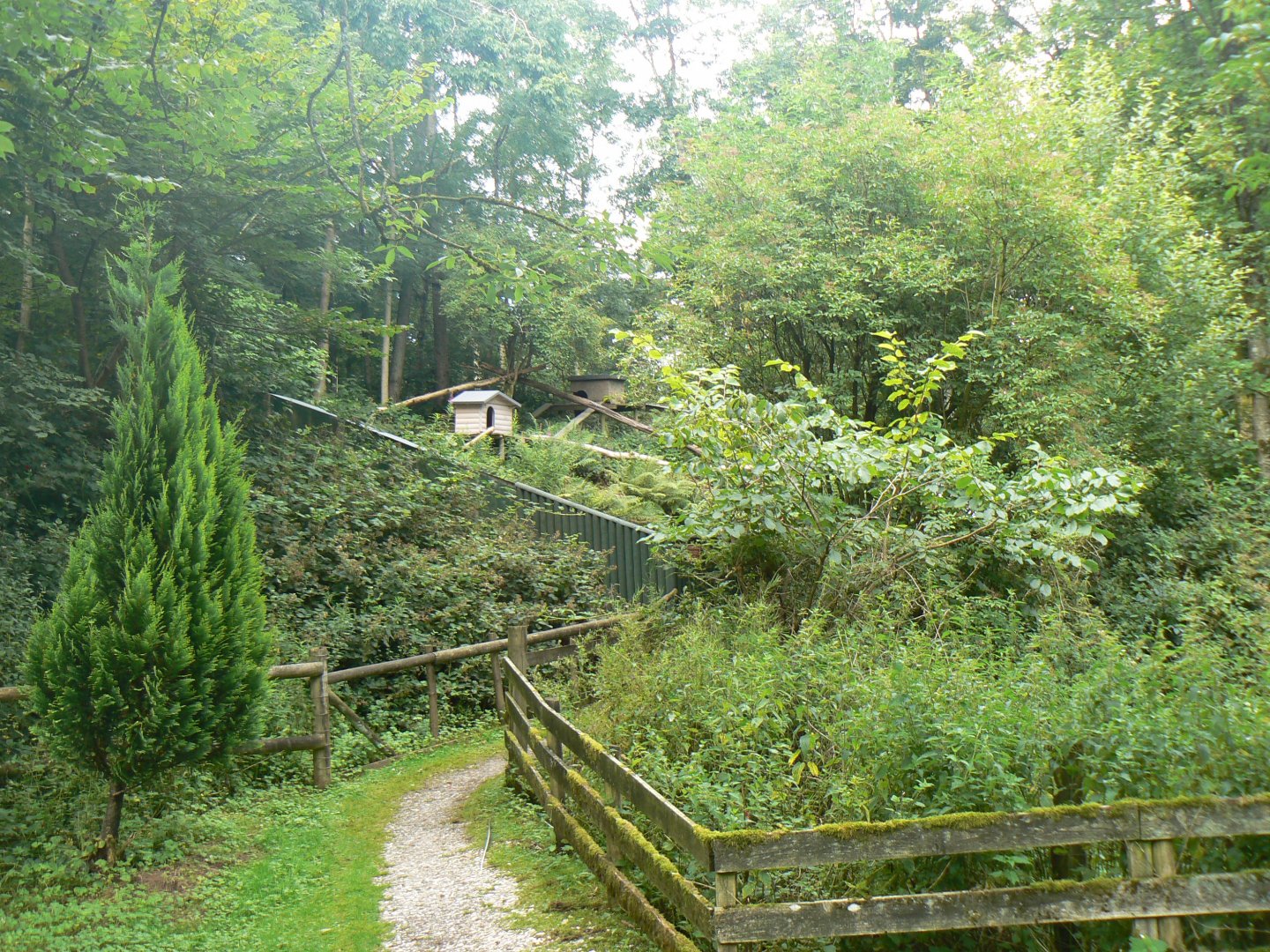 View towards the Red Panda Enclosure - 8 August 2017