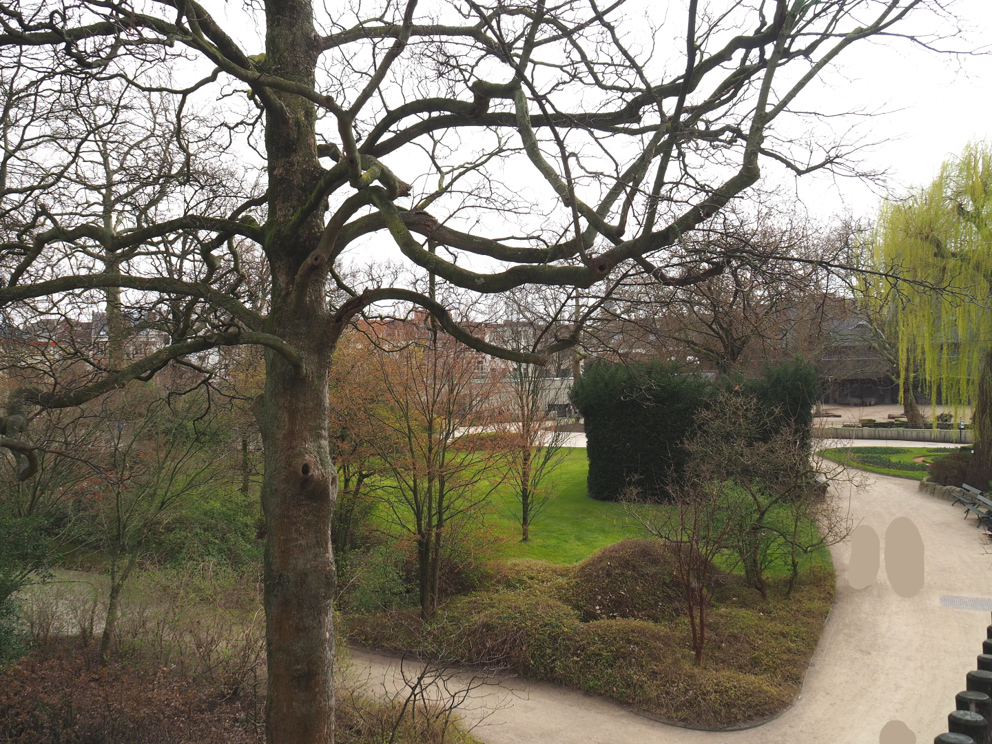 View towards the rhinoceros exhibit from the viewing area on top of the hippopotamus house, 2022-03-16