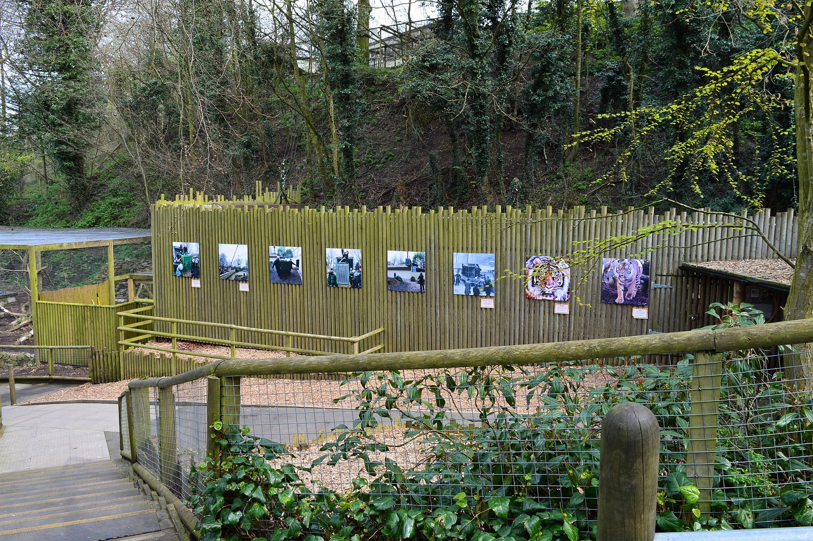 View towards tiger dens 2