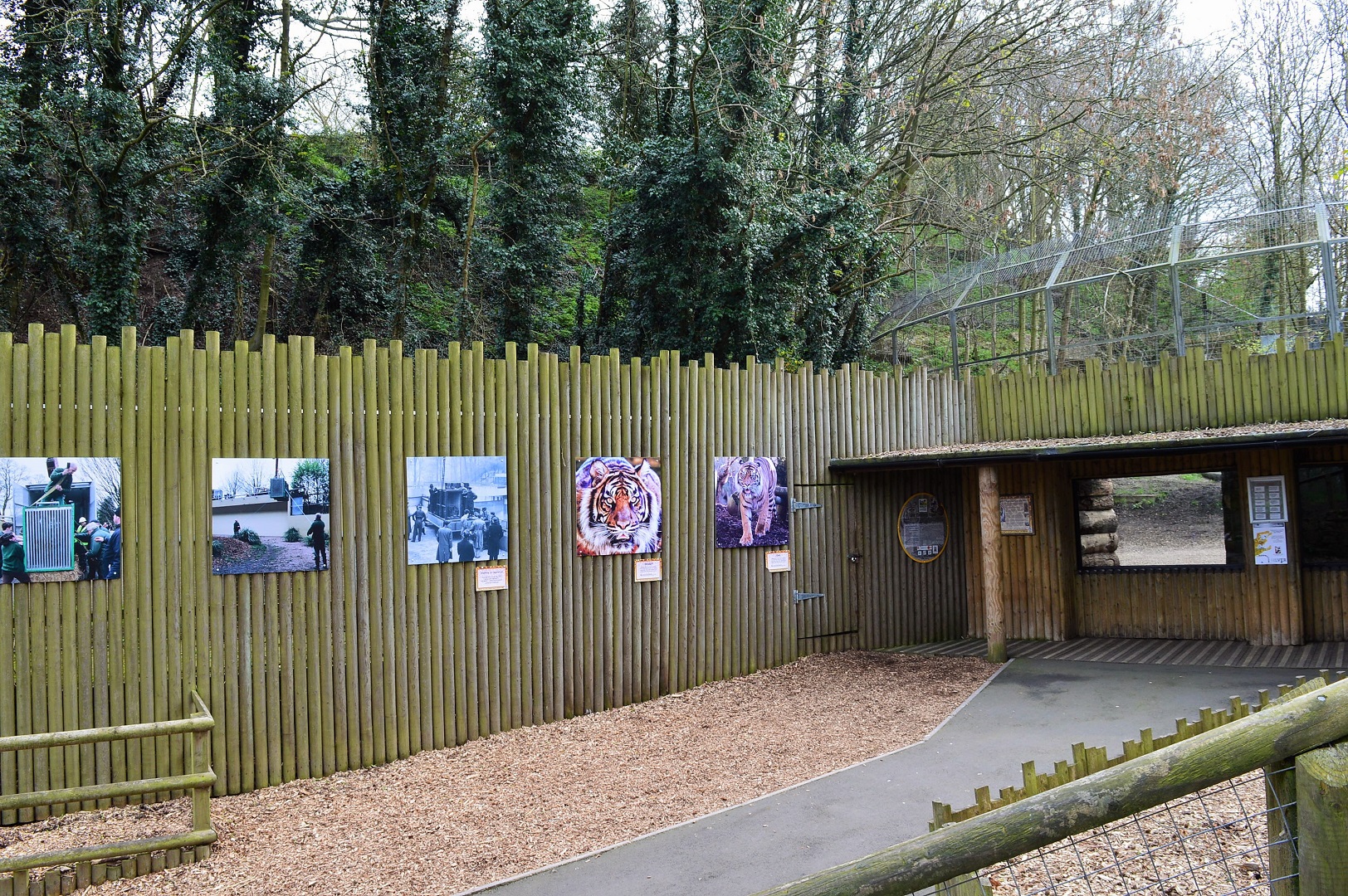 View towards tiger dens