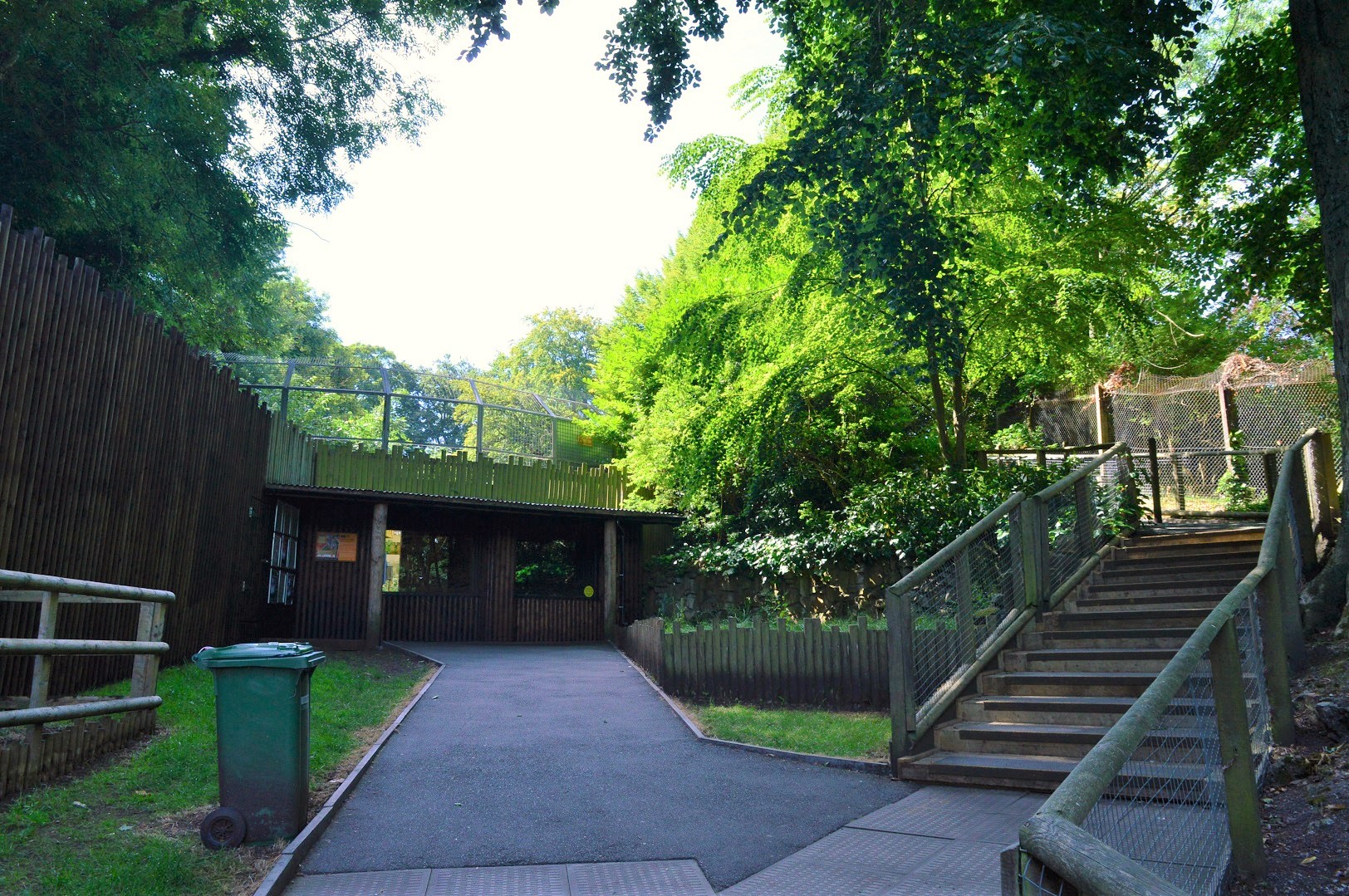 View towards tiger ground level viewing area.