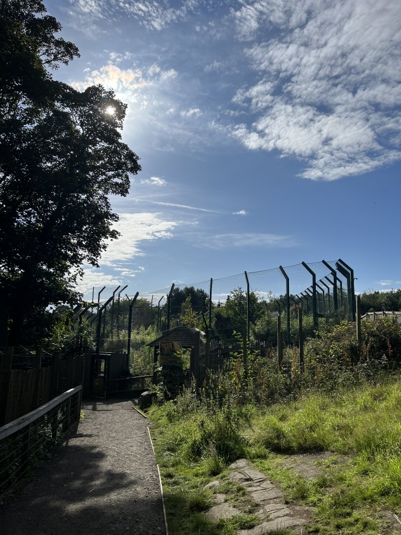 View towards tiger tracks on a nice day 14.8.23