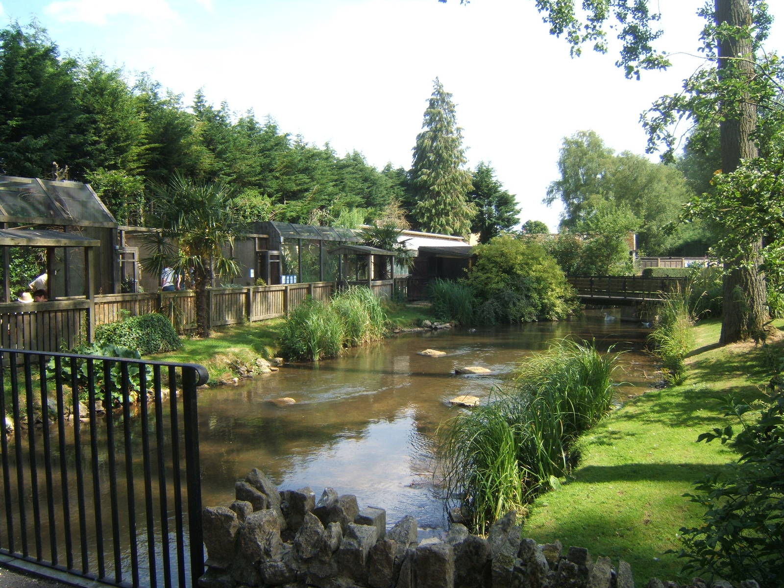 View towards Toucan House