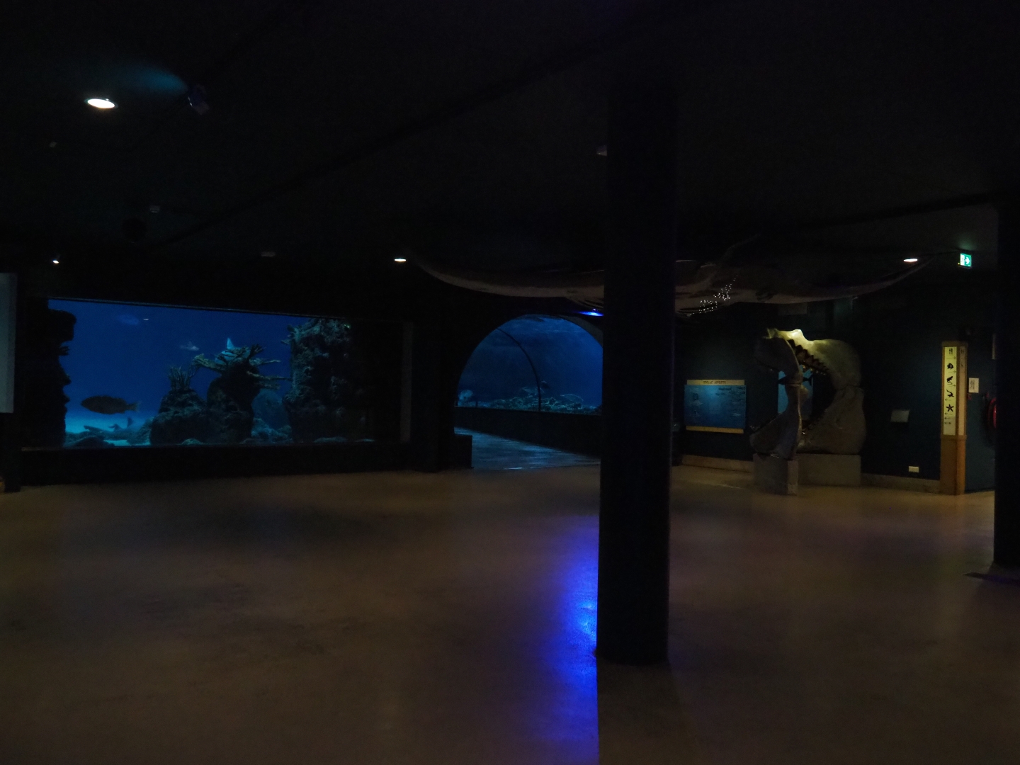 View towards tunnel tank (Nov 10th, 2018)