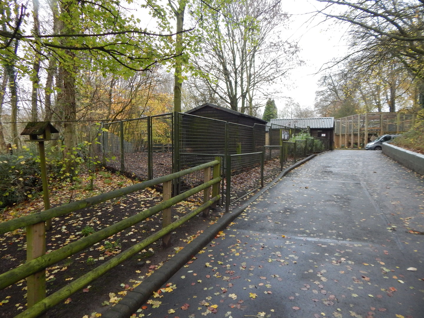 View towards various enclosures 241122