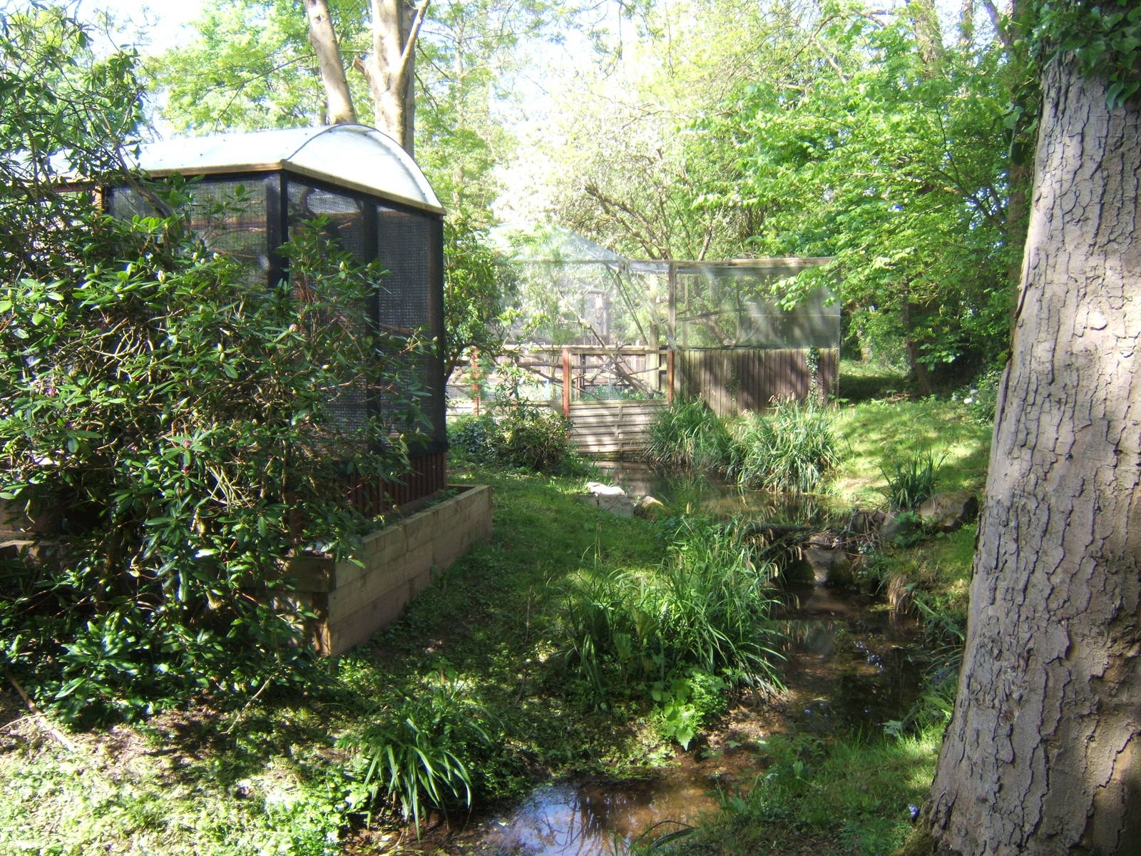 View towards walk through aviary