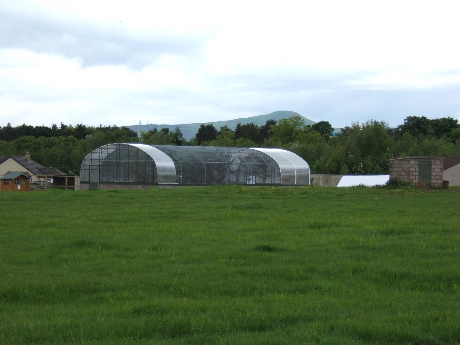 View towards walk through Bird Aviary