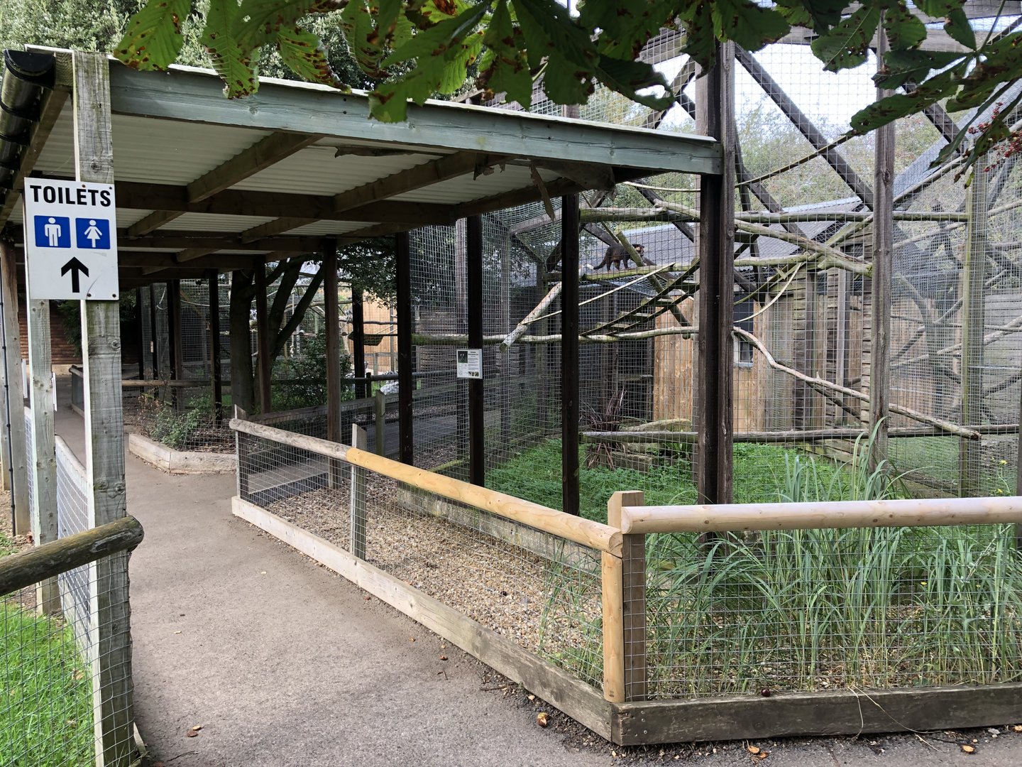 View Towards White-bearded Palm Civet and Ring-tailed Lemur Enclosures at Hamerton Zoo Park (October 2023)