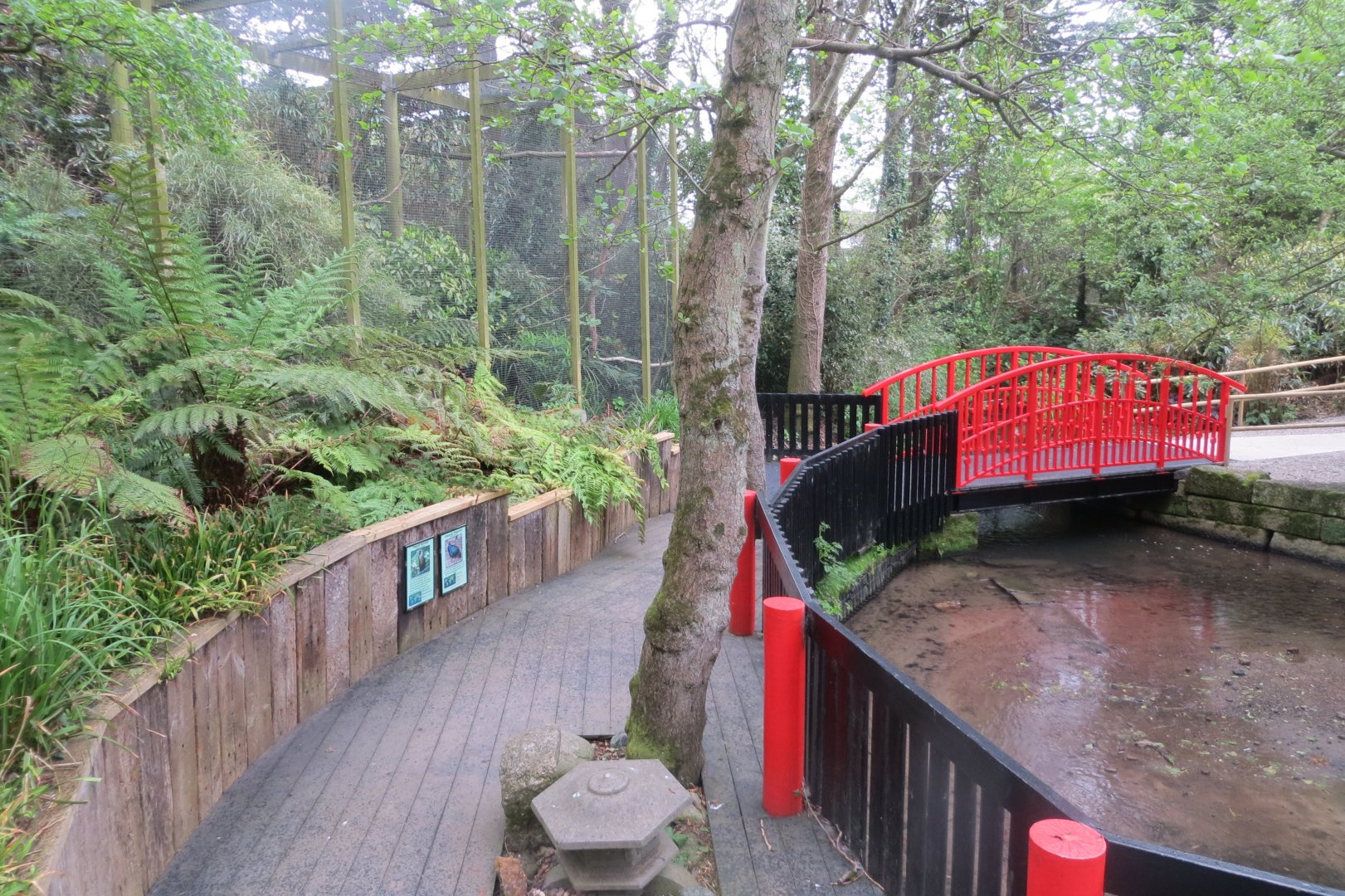 View towards Wreathed hornbill aviary 290419