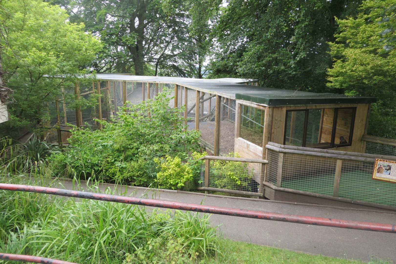 View towards Yellow-breasted capuchin enclosure 230619