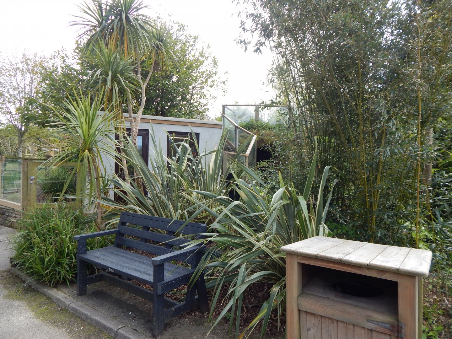 View towards Yellow mongoose exhibit and Red panda exhibit 240424