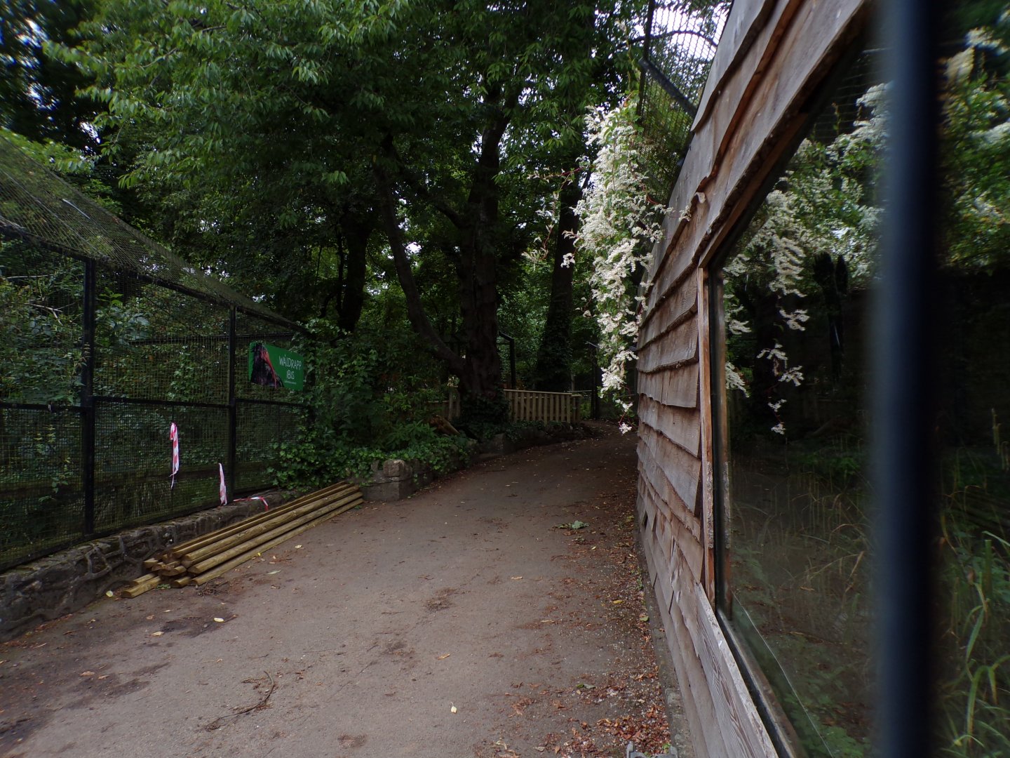 View up to cheetah enclosure 18.7.24