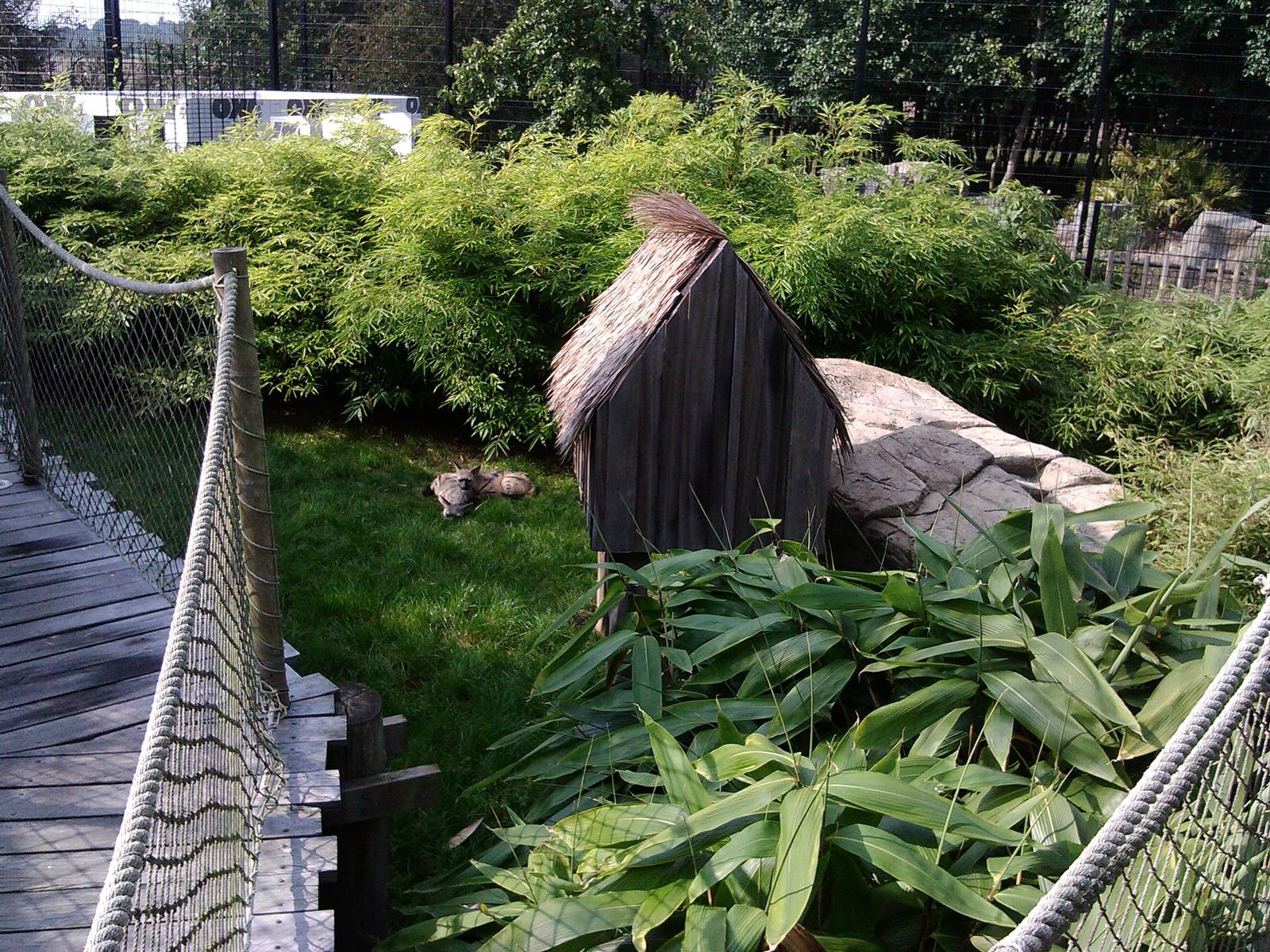 View with Aardwolves ( 23rd sept 2014 )