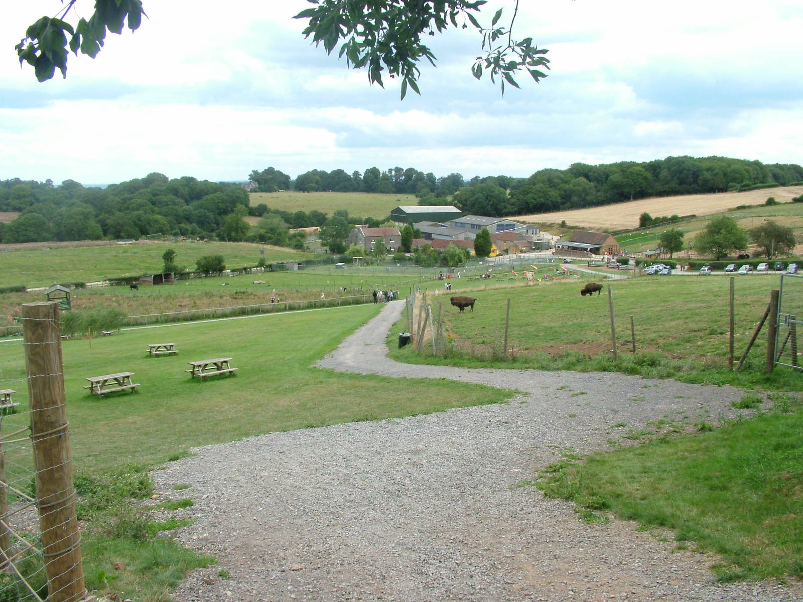 View with Bison paddock at Noah's Ark Zoo Farm 2006