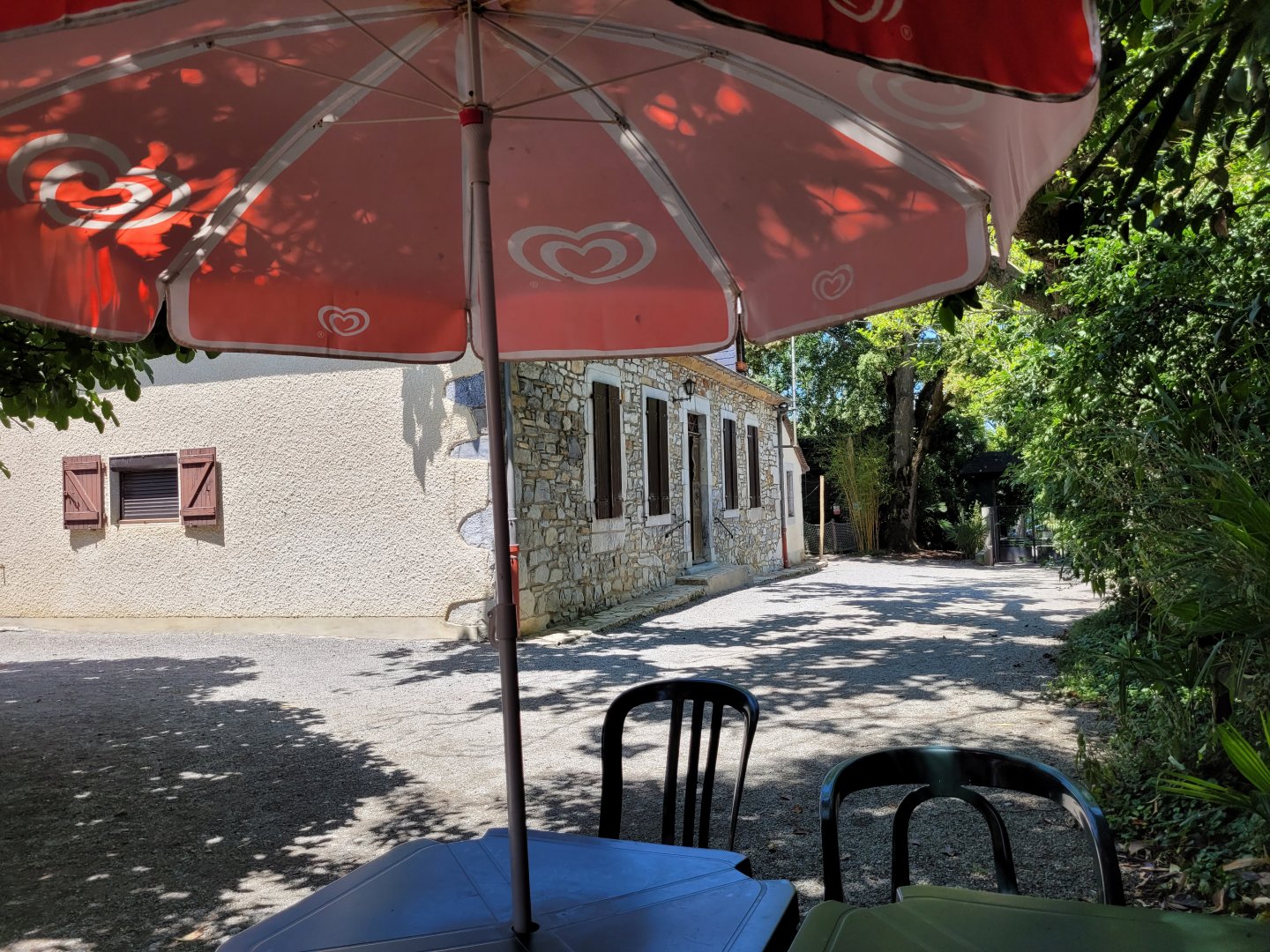 View -Zoo d'Asson (2022)