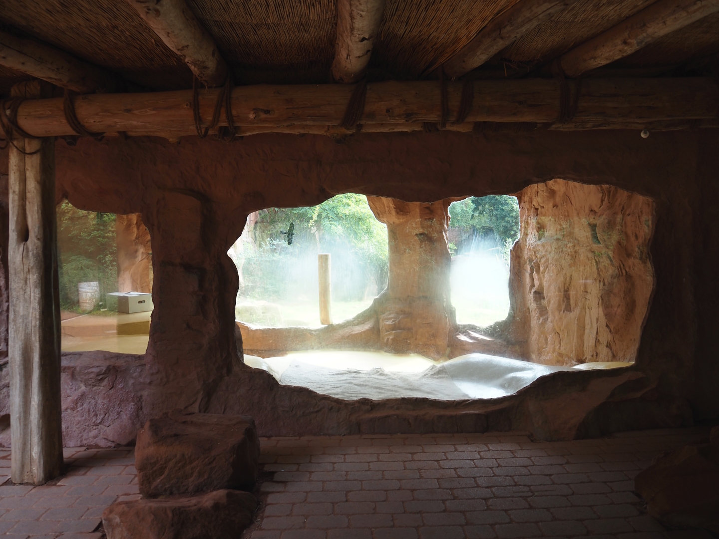 Viewable African lion indoor exhibit, 2024-08-05