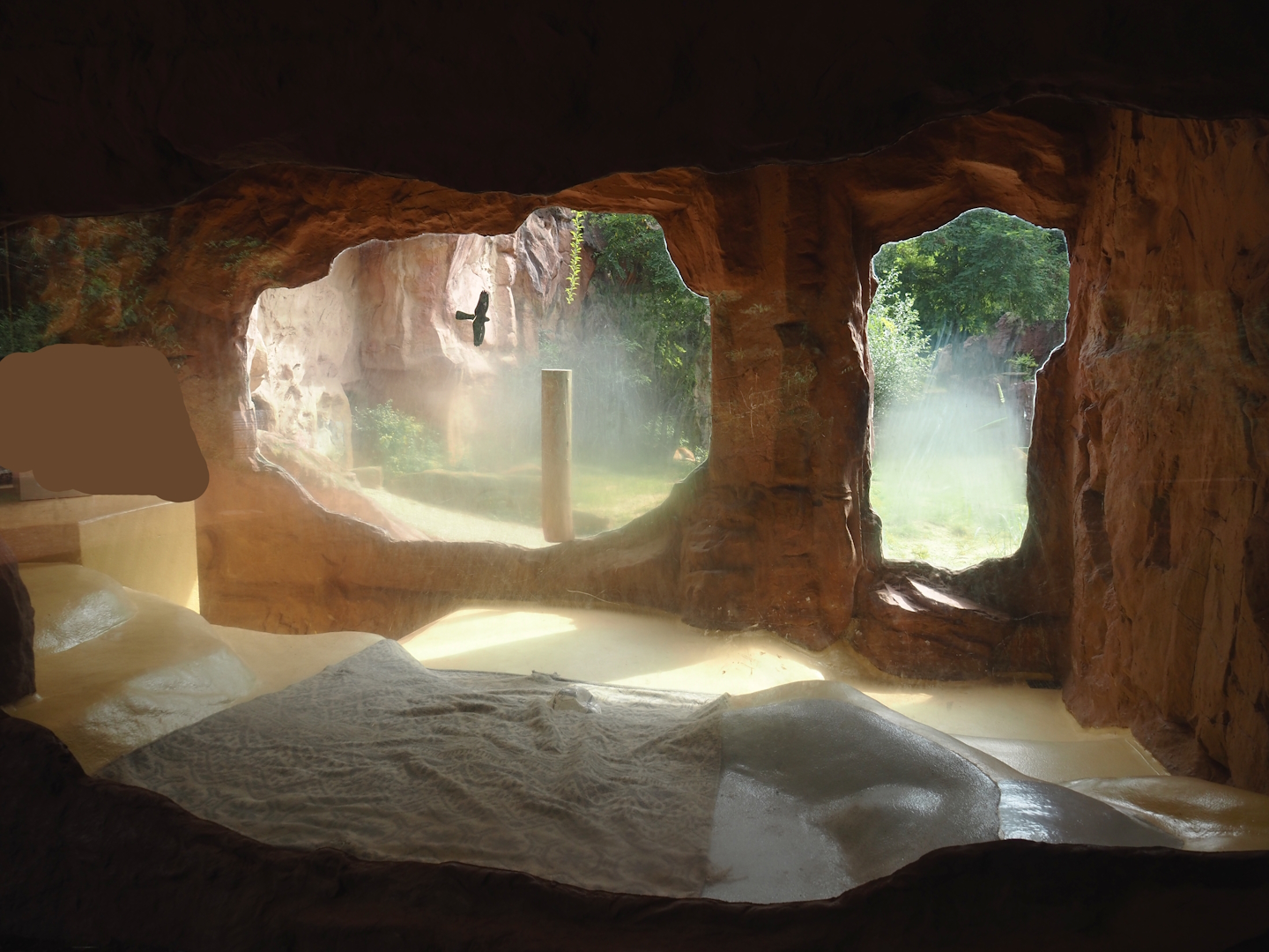 Viewable African lion indoor exhibit, 2024-08-05