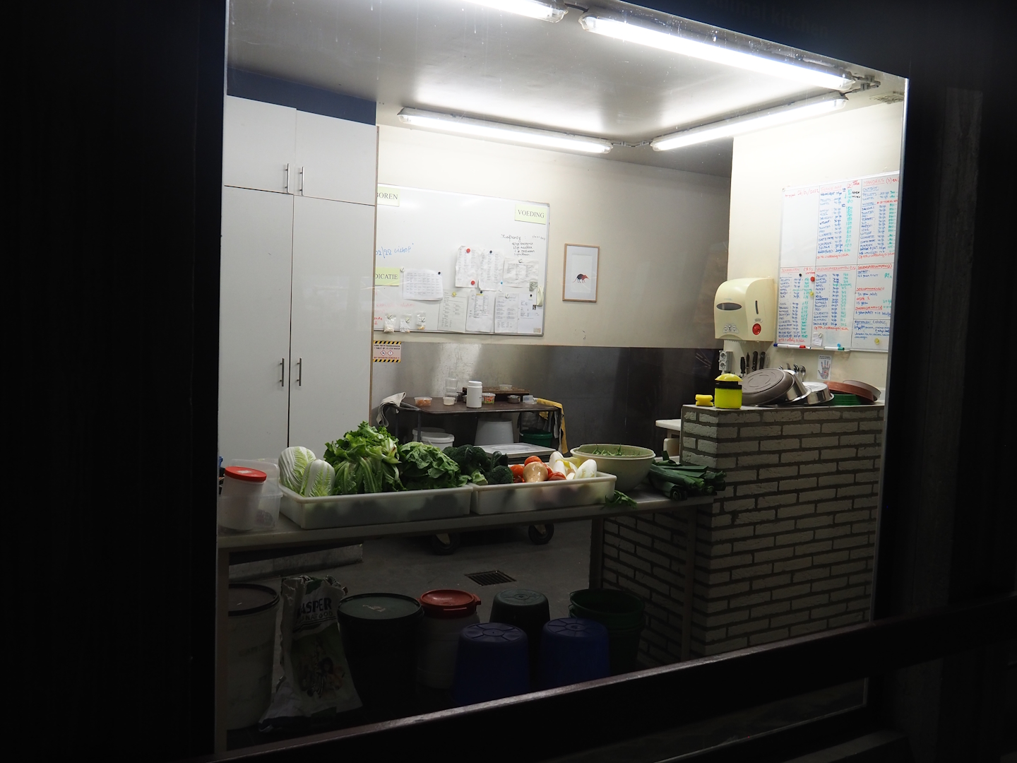 Viewable food kitchen in the small monkey house, 2022-07-10