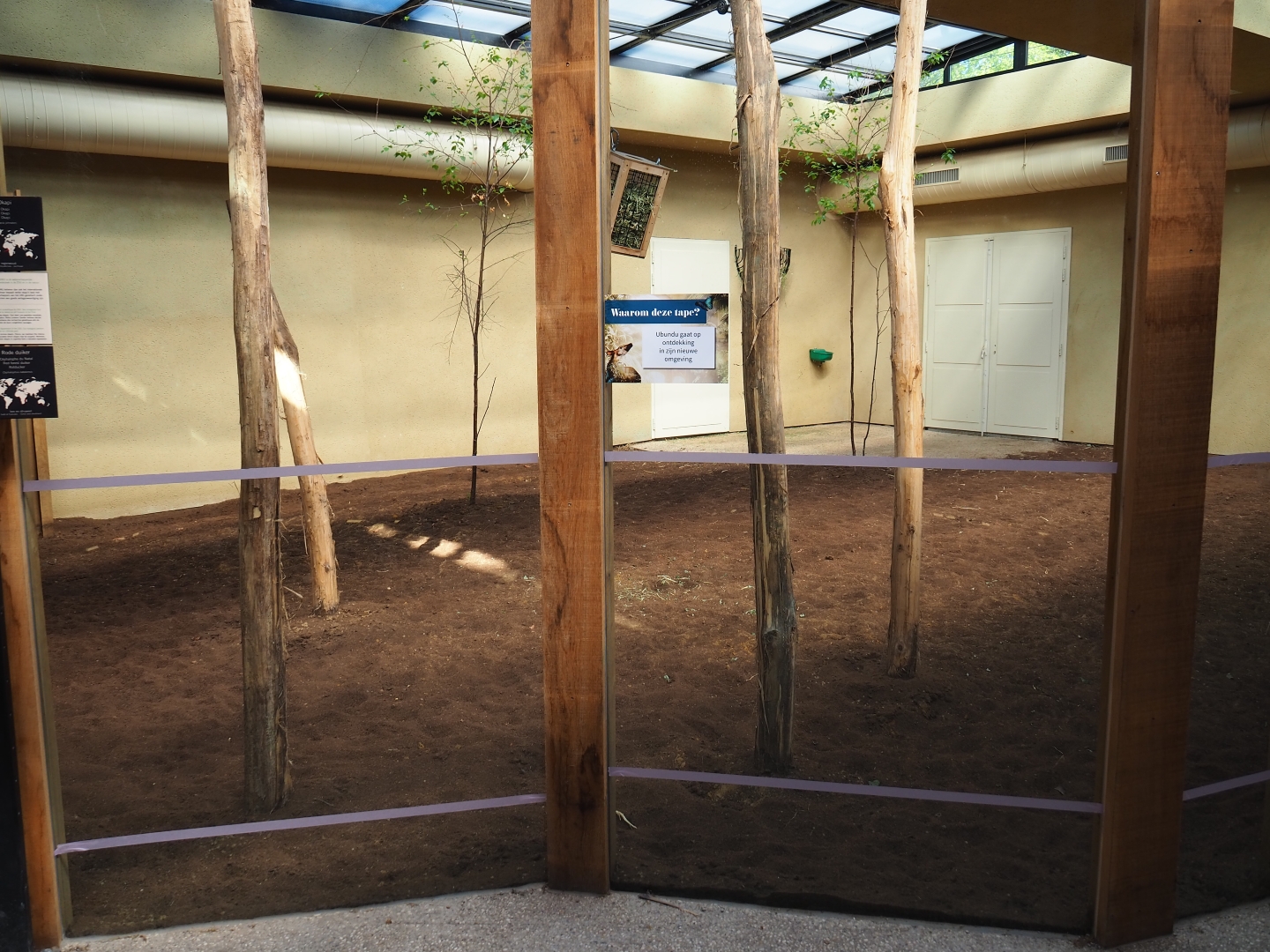 VIewable okapi stable, 2019-04-20