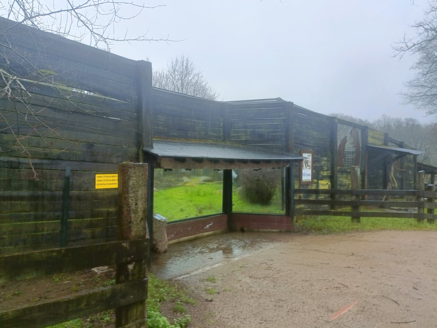 Viewgin for brown bear exhibit -Marcelle Naturaleza