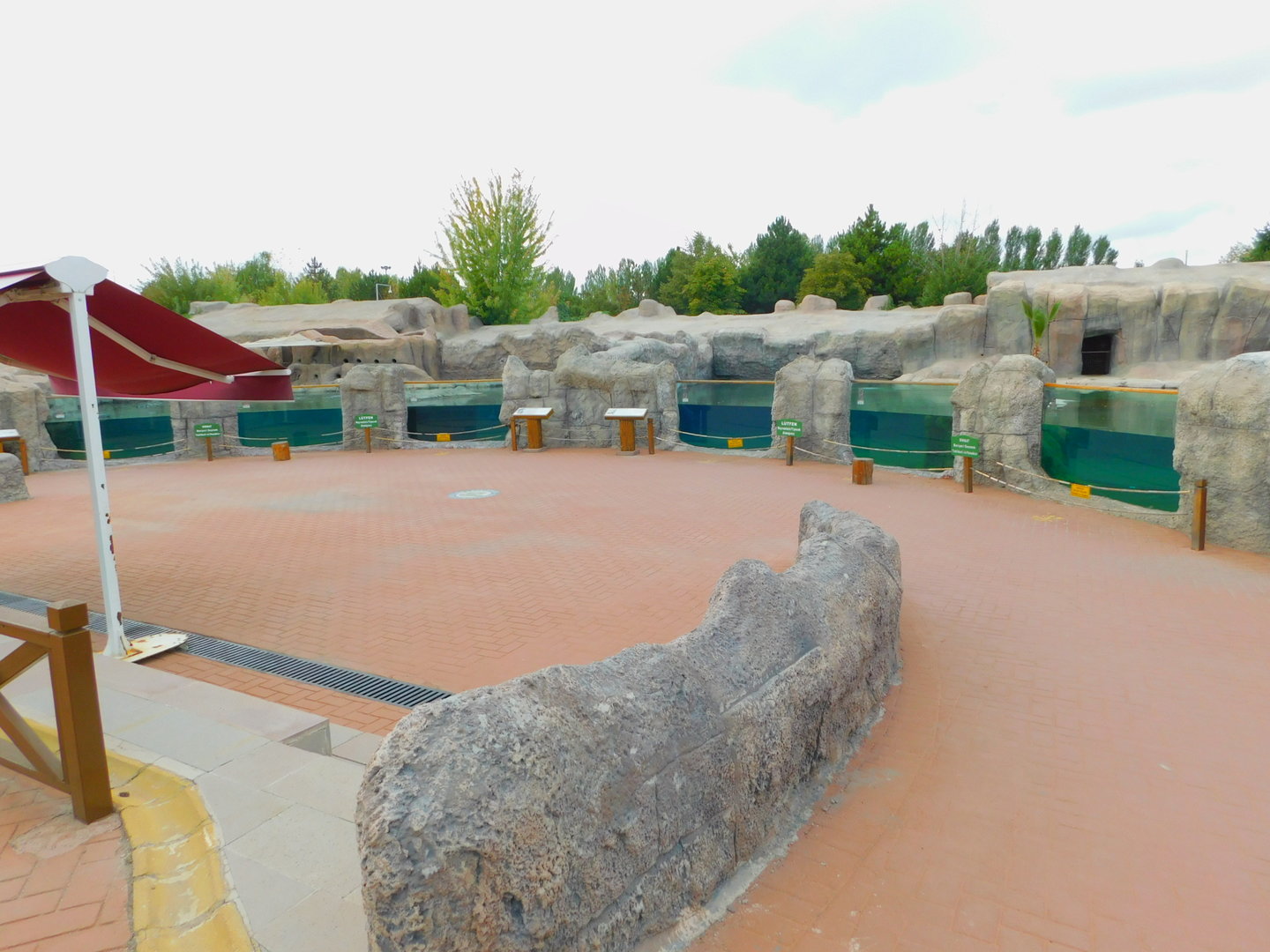 Viewing Aera for the Aquatics