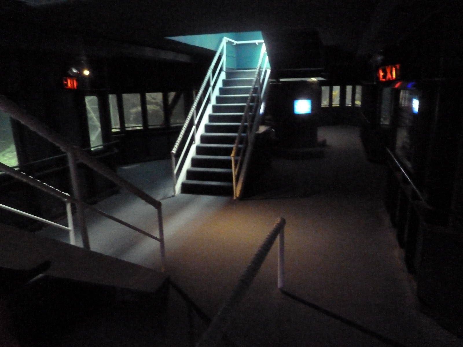 Viewing Area (50% of entire facility)