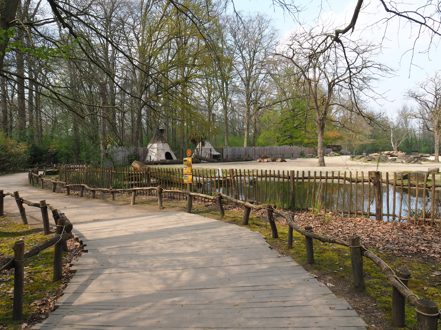 Viewing area American Plains bison and Rocky Mountain wapiti prairie exhibit, 2021-04-20