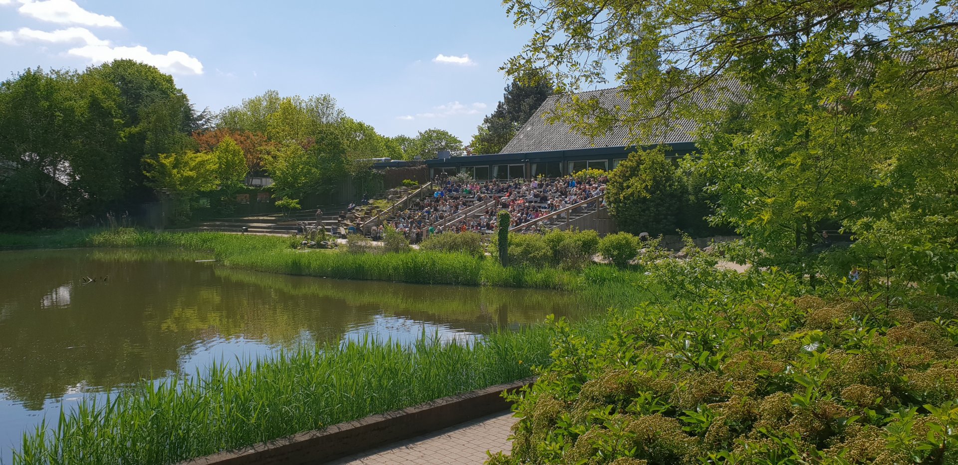 Viewing-area Bird-show