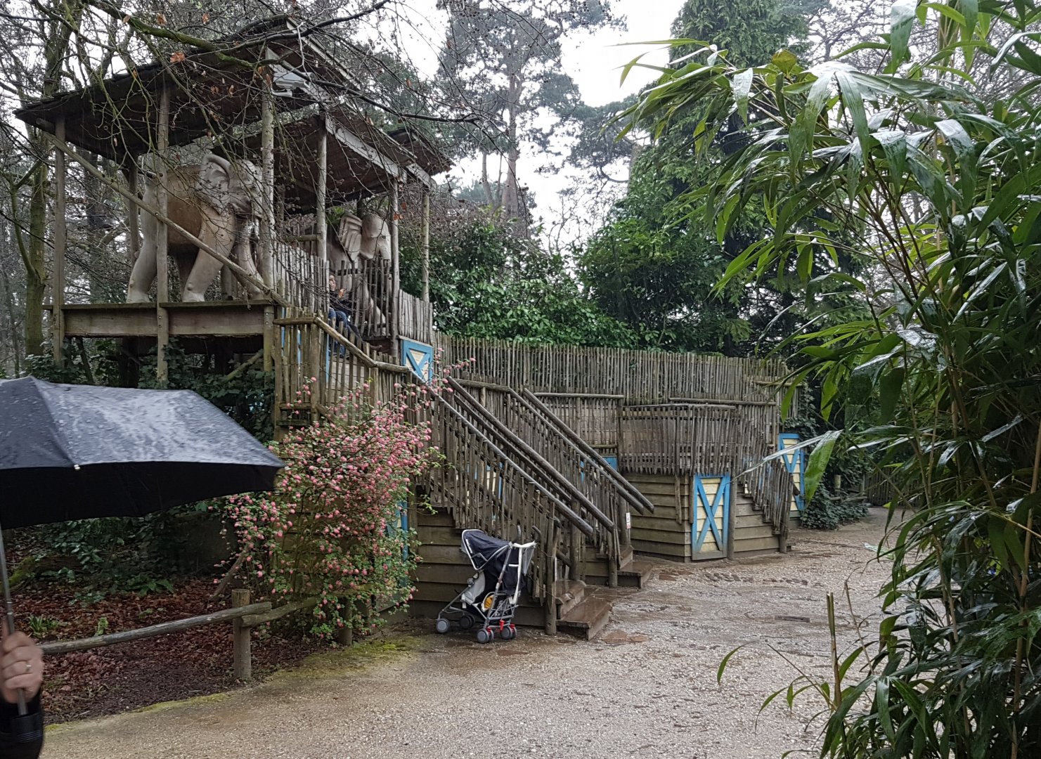 Viewing-area Elephant