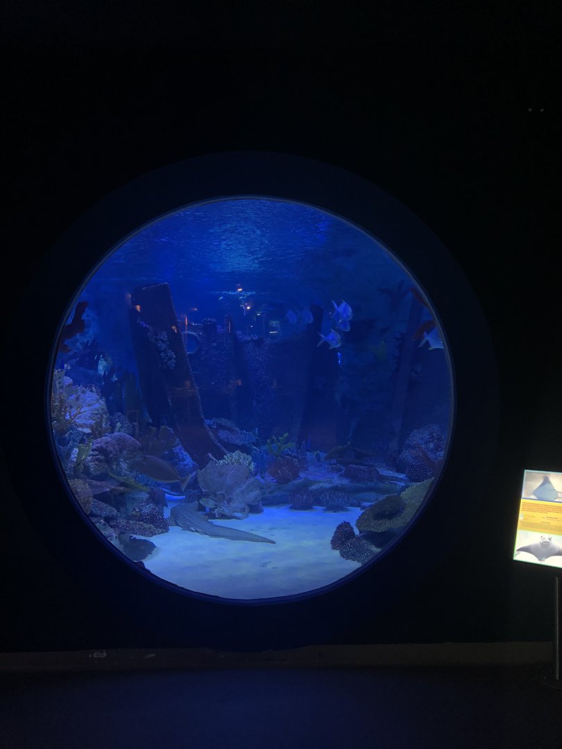 Viewing area Emaar aquarium