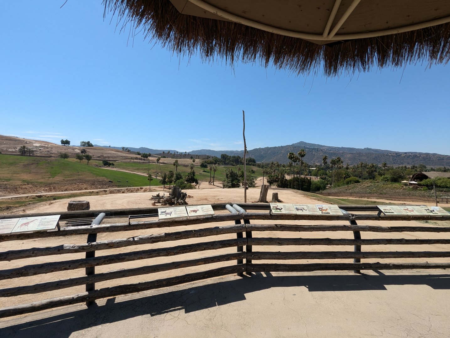 Viewing Area for African Savannah