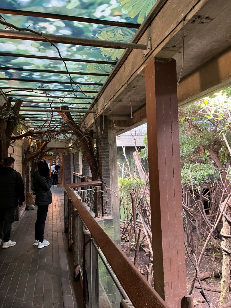 Viewing area for Amazon area 11.2.25