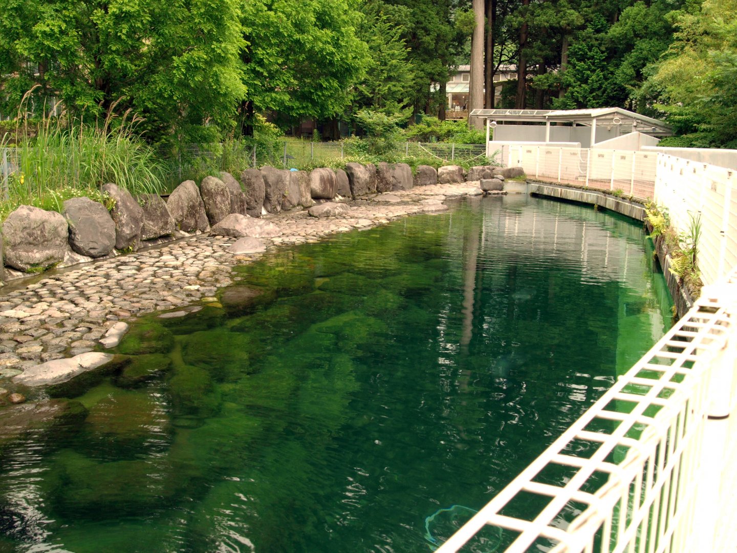 Viewing area for Baikal seals