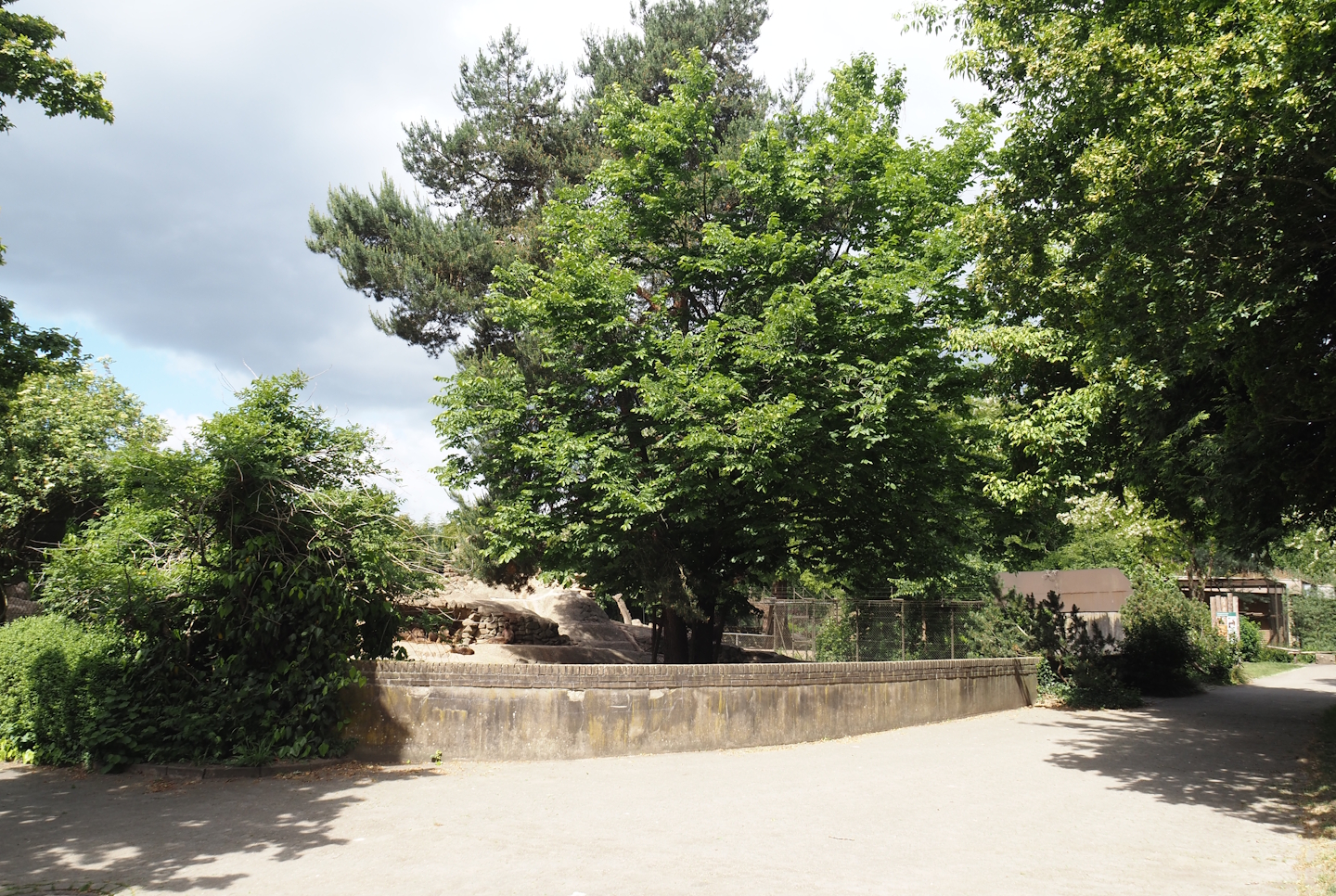 Viewing area for Barbary sheep and Gelada exhibit, 2025-05-22