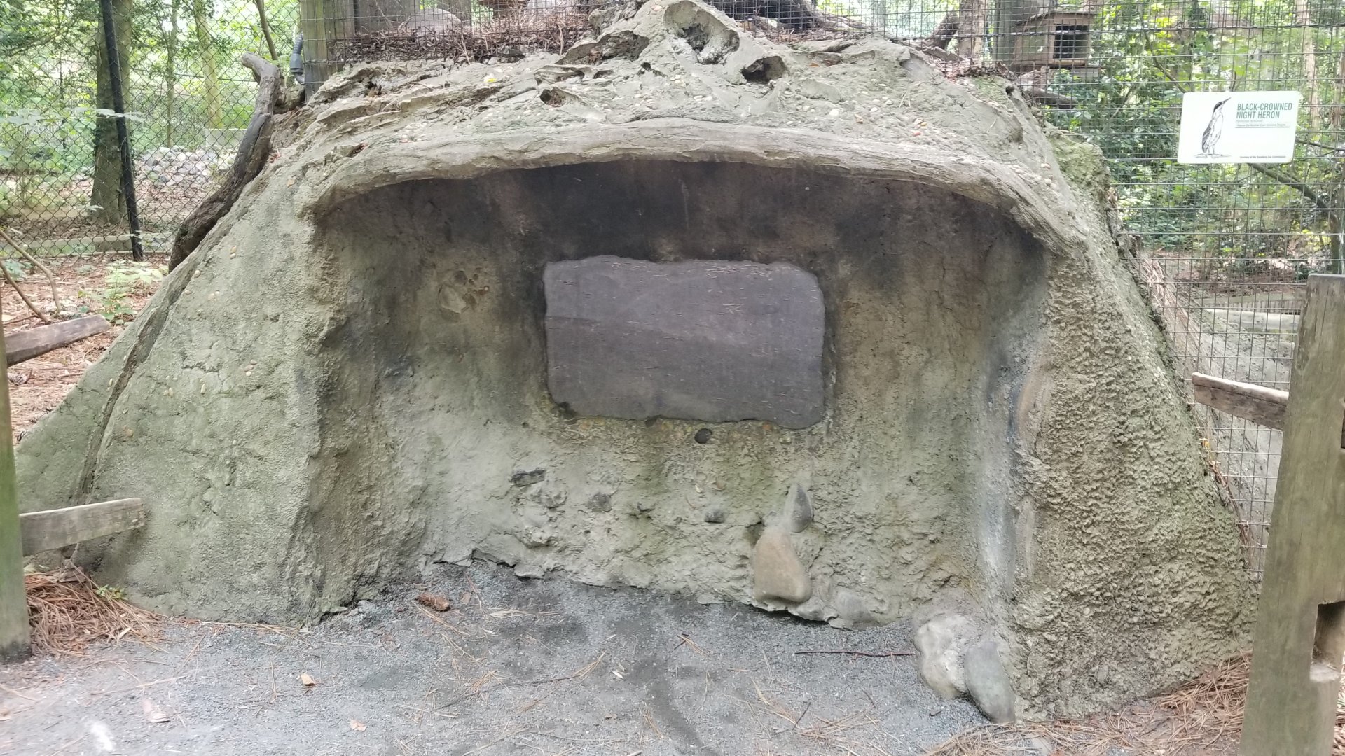 "viewing area" for beaver