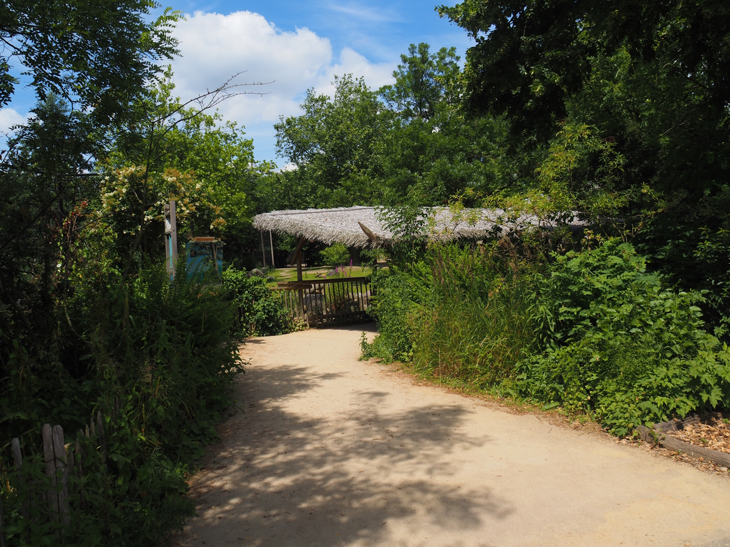 Viewing area for Chapman's zebra and North African ostrich paddock, 2024-06-30