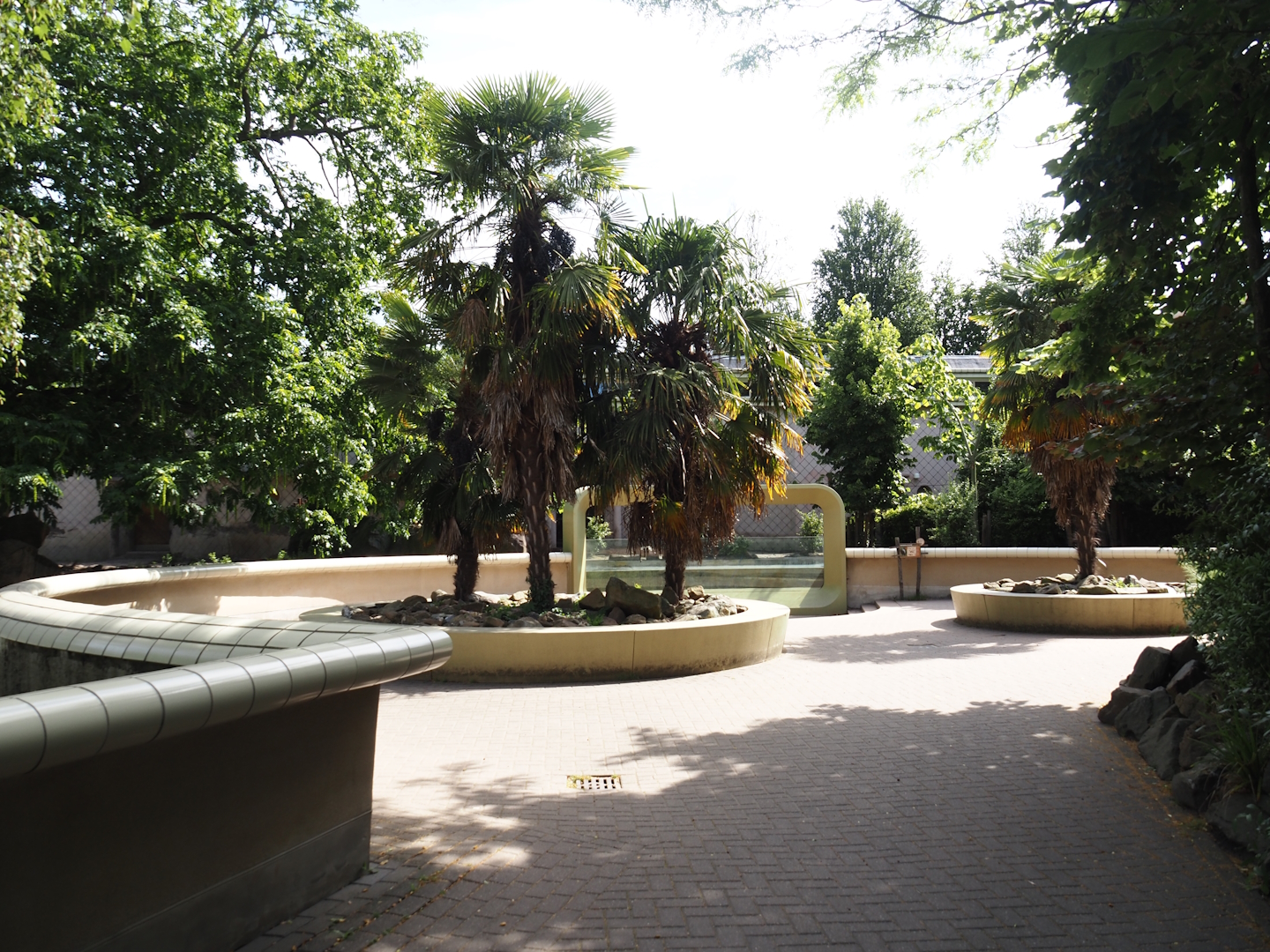 Viewing area for Eastern black rhinoceros and Pygmy hippopotamus exhibits, 2024-06-30