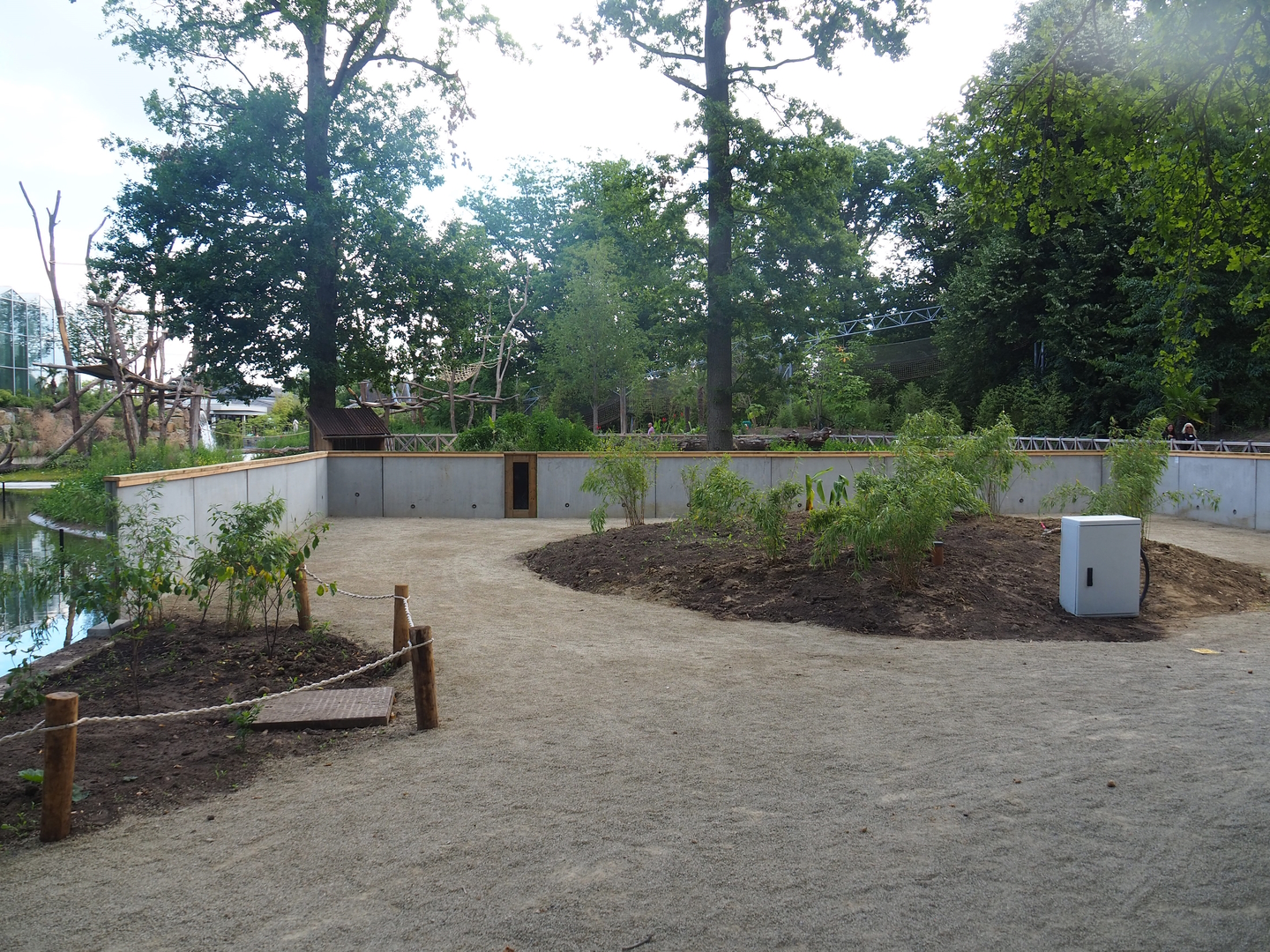 Viewing area for future red panda exhibit (currently only housing Reeves's muntjacs), 2022-07-16